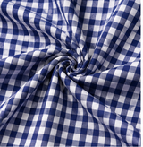 blue gingham Premium Fabric - product image 2